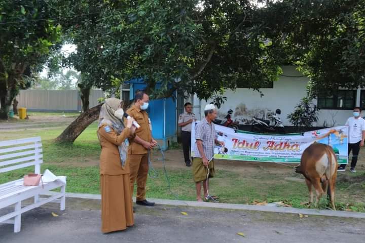 RSJMS BERKURBAN DAN BERBAGI